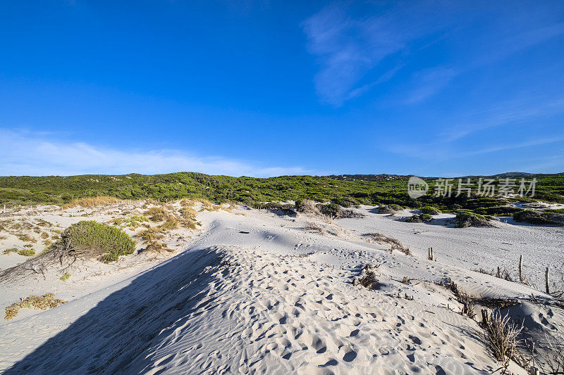 撒丁岛北部Rena Majore的白色沙丘